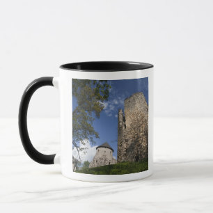 Lettland, Nordostlettland, Region Vidzeme, Tasse