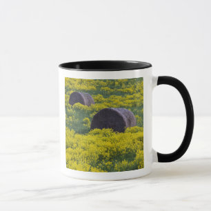 Lettland, Nordostlettland, Region Vidzeme, Tasse