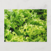 Lettuce Blätter Postkarte (Vorderseite)