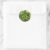 Lettuce Fresh Runder Aufkleber (Tasche)
