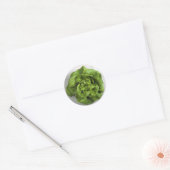 Lettuce Fresh Runder Aufkleber (Umschlag)