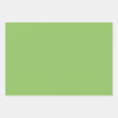 Lettuce Green Solid Color Geschenkpapier Set (Vorderseite 3)