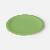 Lettuce Green Solid Color Pappteller (Schrägansicht)