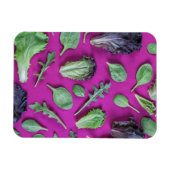 Lettuce-Grüntöne auf Lila Magnet (Horizontal)