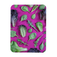 Lettuce-Grüntöne auf Lila