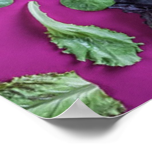 Lettuce-Grüntöne auf Lila Poster (Ecke)