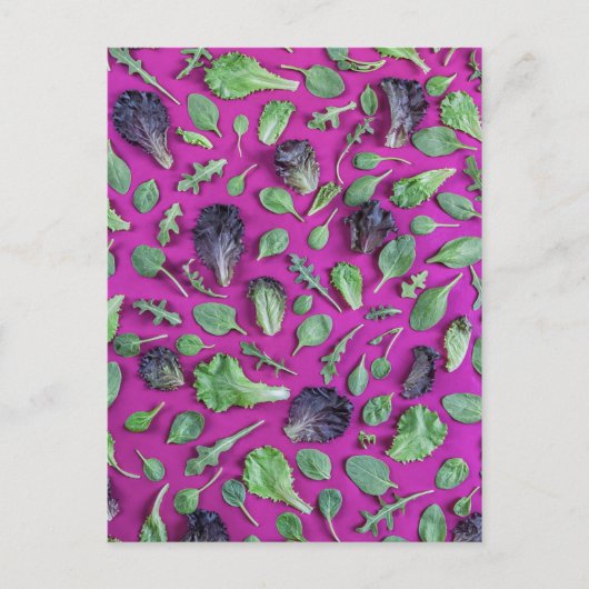 Lettuce-Grüntöne auf Lila Postkarte (Vorderseite)