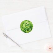 Lettuce meow runder aufkleber (Umschlag)