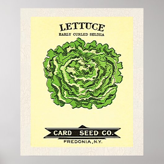 Lettuce Seeds Card Seed Company Poster (Vorne)