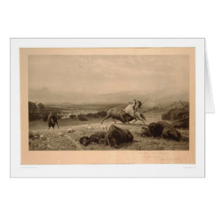 Letzt vom Büffel Bierstadt (0137A) - nicht