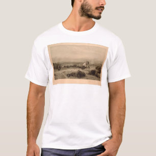 Letzt vom Büffel Bierstadt (0137A) - nicht T-Shirt