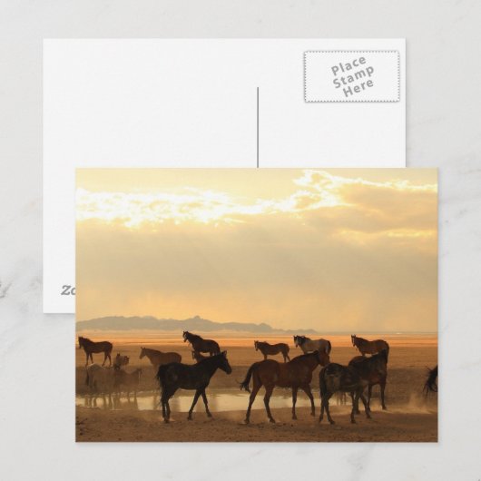 Letzte Aufforderung Postkarte (Vorne/Hinten)