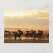 Letzte Aufforderung Postkarte (Vorderseite)