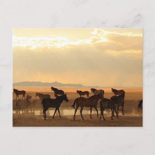 Letzte Aufforderung Postkarte (Vorderseite)