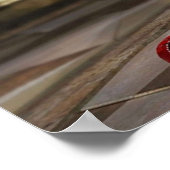 LETZTE MARIE-ROSE: TOT ODER LEBEND 5 POSTER (Ecke)