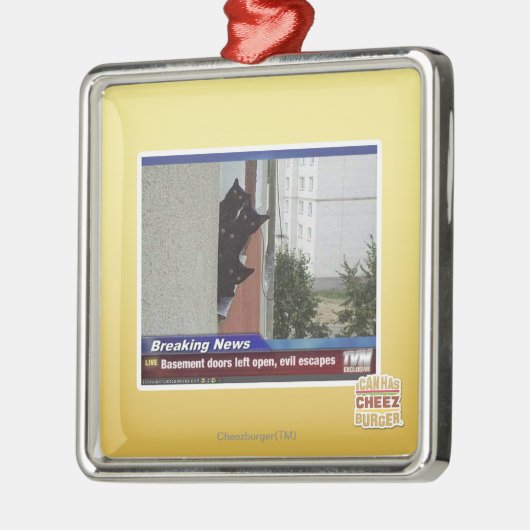 Letzte Nachrichten 2 Silbernes Ornament (Links)