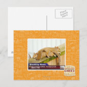 Letzte Nachrichten Postkarte (Vorne/Hinten)