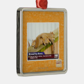 Letzte Nachrichten Silbernes Ornament (Rechts)