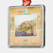 Letzte Nachrichten Silbernes Ornament (Links)