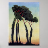 LETZTE RAYS POSTER (Vorne)