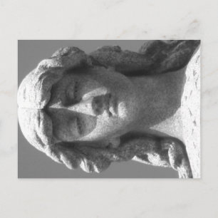 Letzte Rose 3 Schwarz-Weiß-Postkarte Postkarte