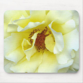 Letzte Rose des Sommers Mousepad