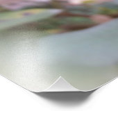 letzte rote Rose Fotodruck (Ecke)