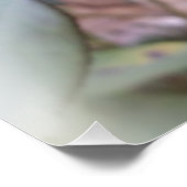 letzte rote Rose Poster (Ecke)