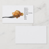 Letzte Visitenkarte (Vorne/Hinten)