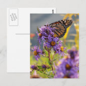 Letzter Monarch Butterfly Postkarte (Vorne/Hinten)
