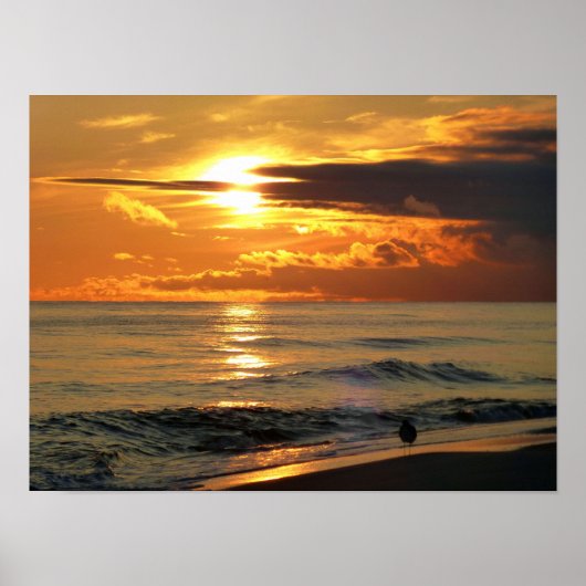 Letzter Sandpiper Poster (Vorne)