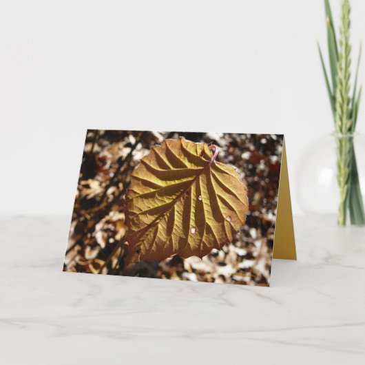 Letztes Blatt Karte (Vorderseite)