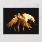 Letztes Einhorn Postkarte (Vorderseite)