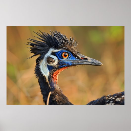 Letztes Grasland - Bengalisch Florico Poster (Vorne)