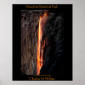 Letztes Licht: HorseTail Poster (Vorne)