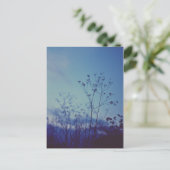 Letztes Licht Postkarte (Stehend Vorderseite)