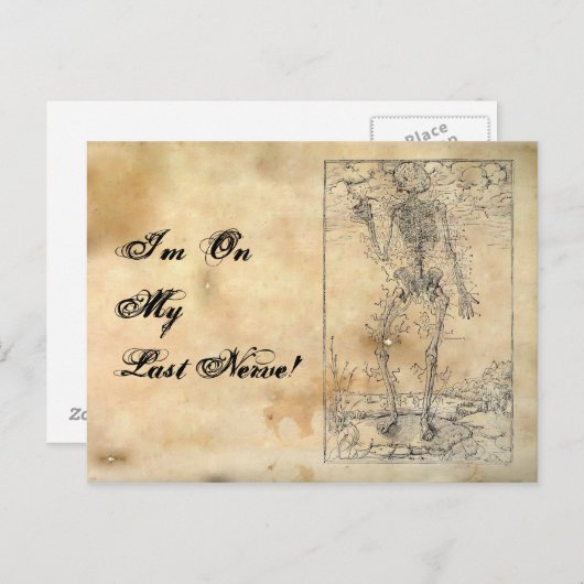 Letztes Nerv - Halloween Skelett Postkarte (Vorne/Hinten)