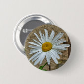 Leucanthemum Bloom Abzeichen Button (Vorne & Hinten)
