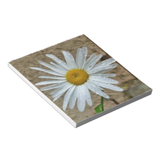 Leucanthemum Bloom Notizblock (angewinkelt)