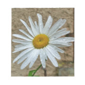 Leucanthemum Bloom Notizblock (Vorderseite)