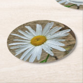 Leucanthemum Bloom Runder Pappuntersetzer (Angewinkelt)