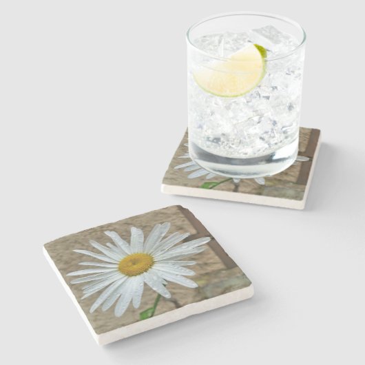 Leucanthemum Bloom Steinuntersetzer (Seitenansicht)