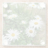 Leucanthemum Blooms Glasuntersetzer (Rückseite)