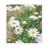 Leucanthemum Blooms Notizblock (Vorderseite)