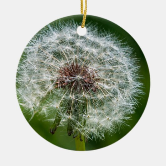 Leuchte im Licht Keramik Ornament (Vorne)