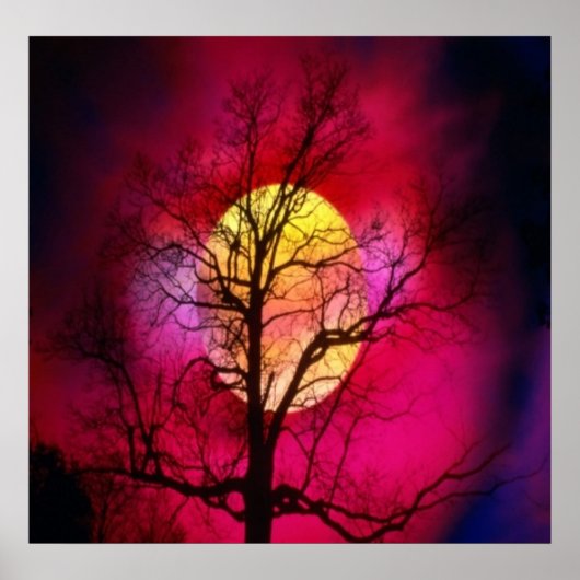 Leuchten Poster (Vorne)