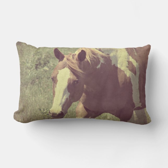 leuchtend lendenkissen (Vorderseite)