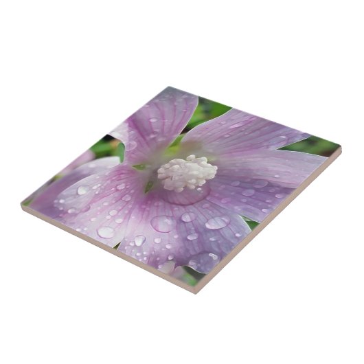 Leuchtend Lila Fliese (Seite)