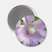 Leuchtend Lila Magnet (Vorderseite/Rückseite)