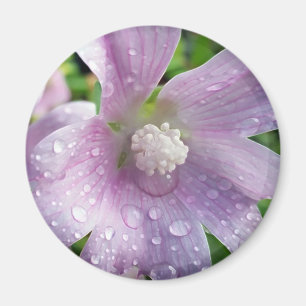 Leuchtend Lila Magnet